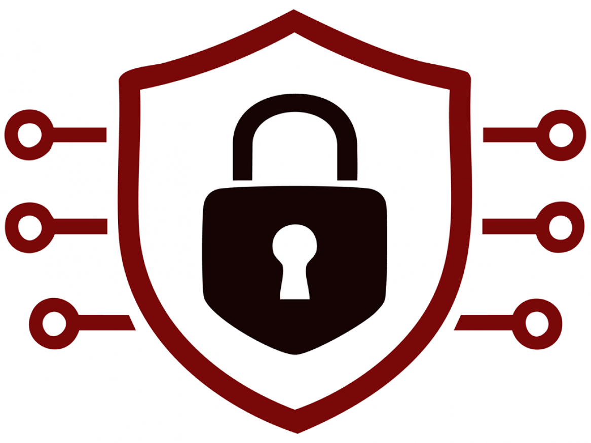 Cyber security theme icon