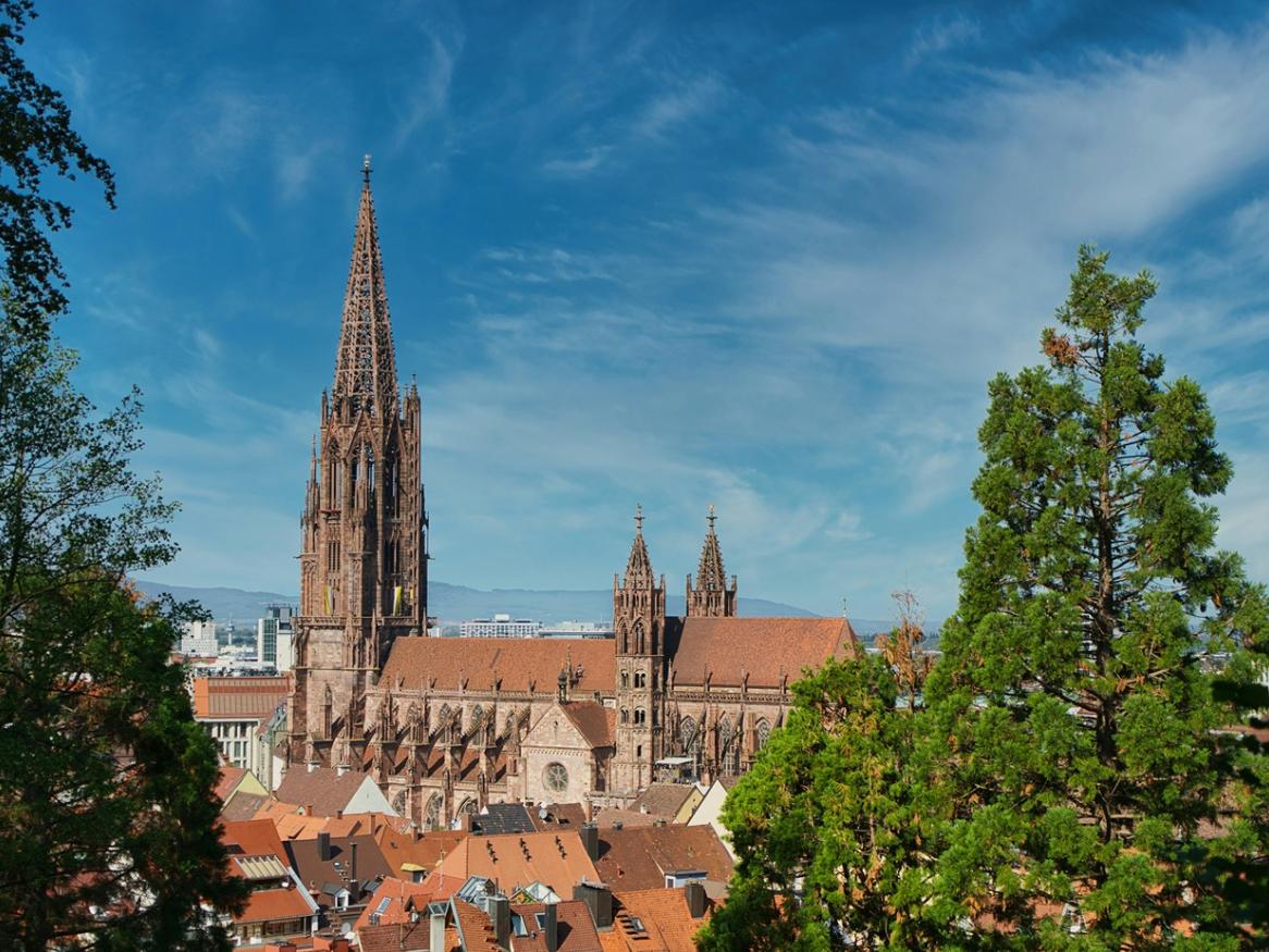 The city of Freiburg im Breisgau
