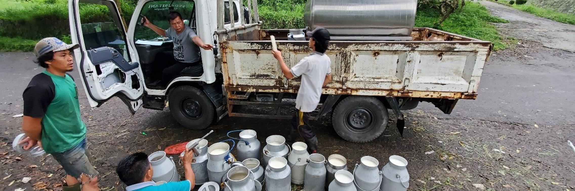 Dairy farmers in Indonesia