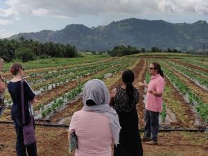 Visit to the Nadi Bay Herbs firm to understand how women can run a successful business in export marketing