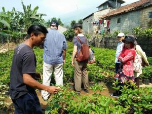 Planning and goal-setting meeting for the Focus Farmer, Pak Yunus (left), in Cijeruk, Bogor, with Dr. Brad Granzin, Ms. Zita Ritchie, Dr. Endang Romjali and Ms. Vyta Hanifah. Photo: Attin Syahnurotin  