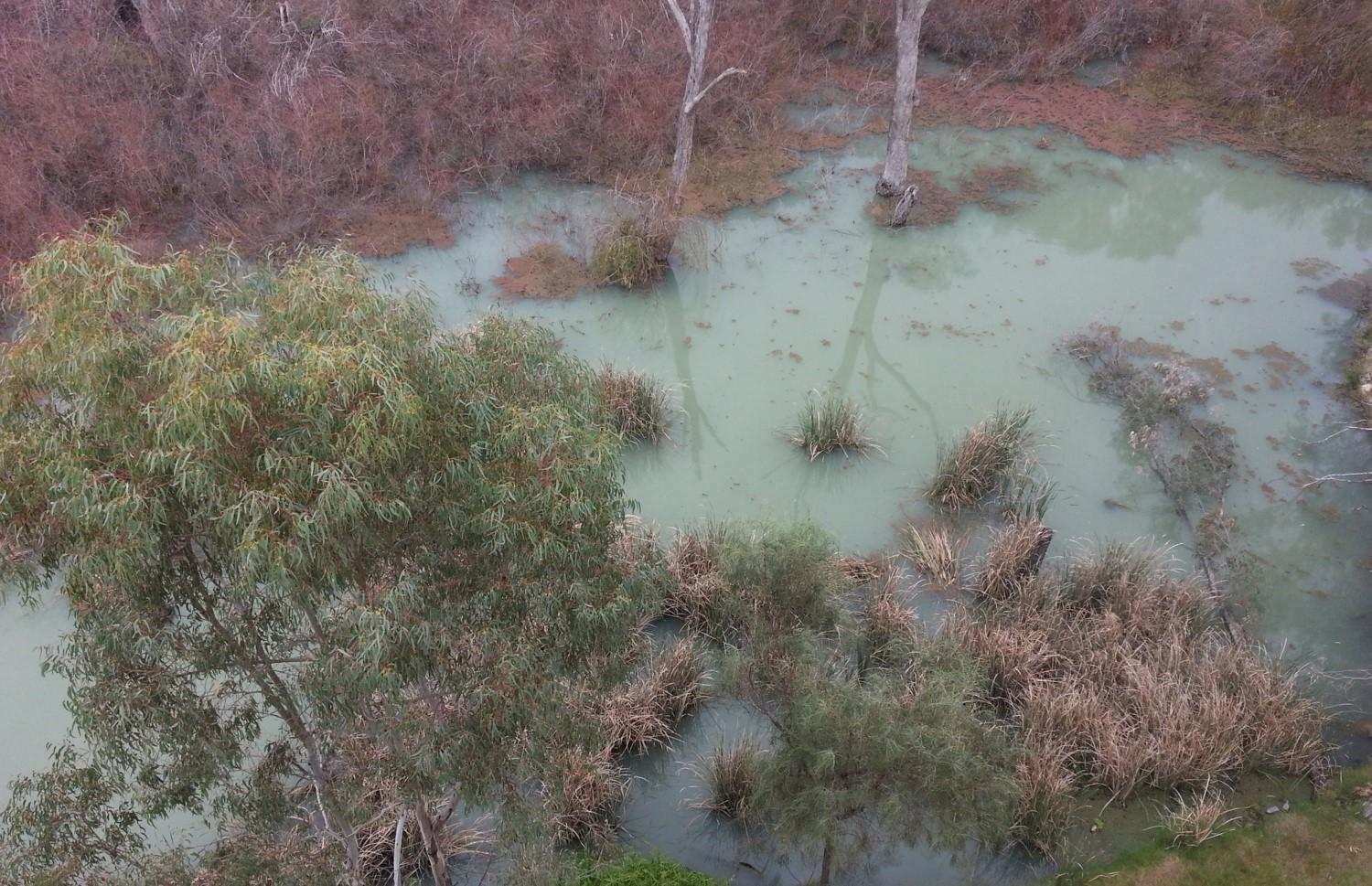 Wetland