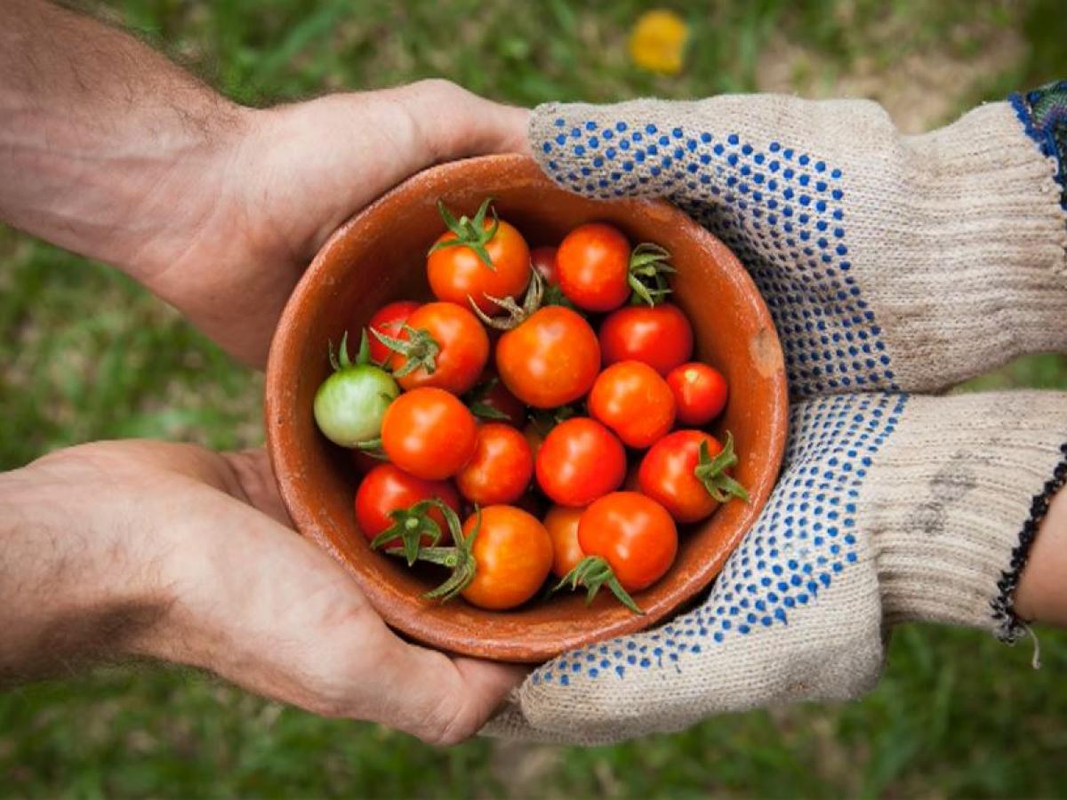 Food security