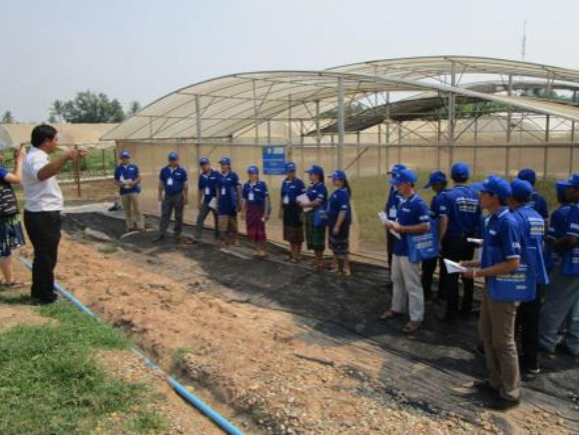 Novel project greenhouse providing backdrop to research and extension activities in Laos. Note roof gap venting, wide span, height, internal shade and side netting.