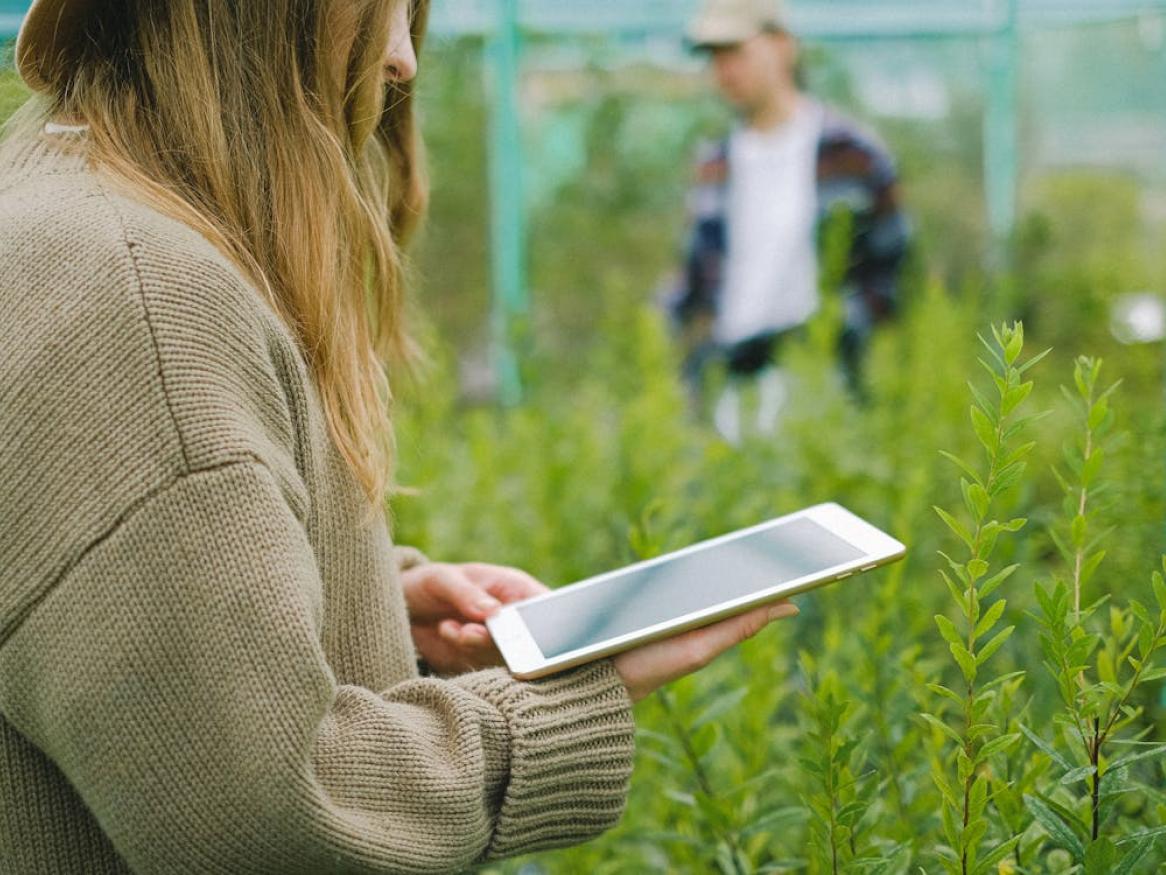 Digital agriculture
