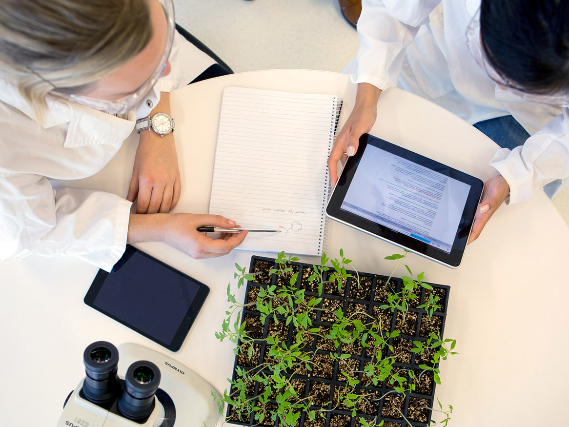 Science events - set yourself up for success