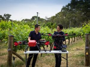 Agriculture food and wine drone