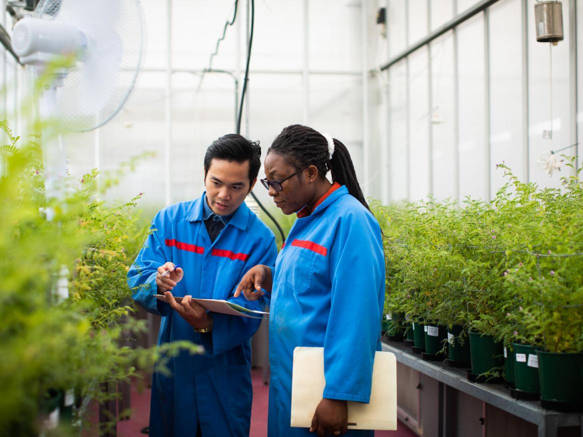 Two people inspect a document and plants.