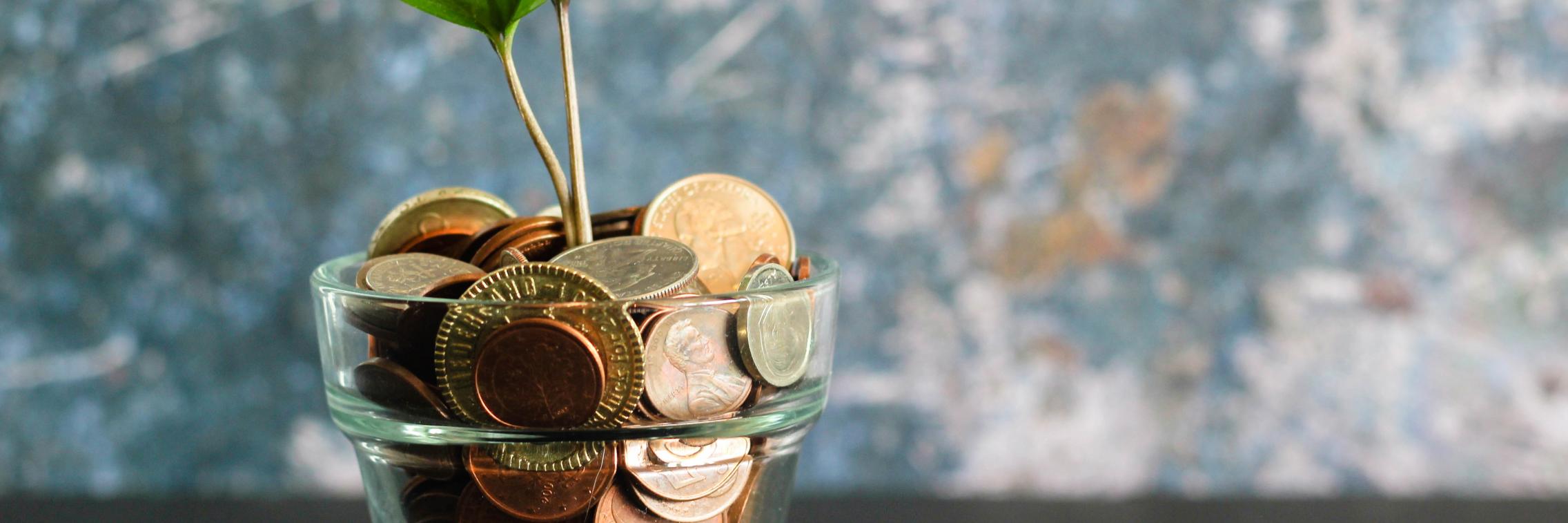 Healthy finances during COVID-19