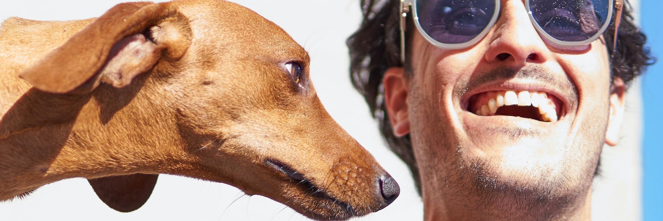 Dog and man