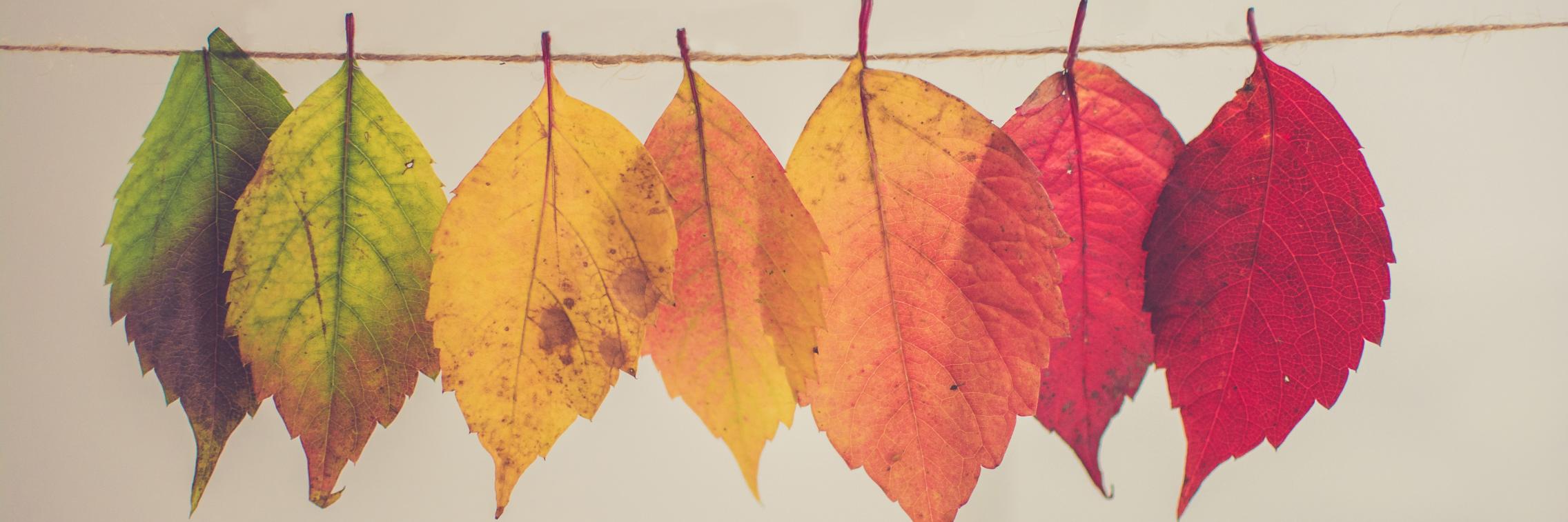 coping with change