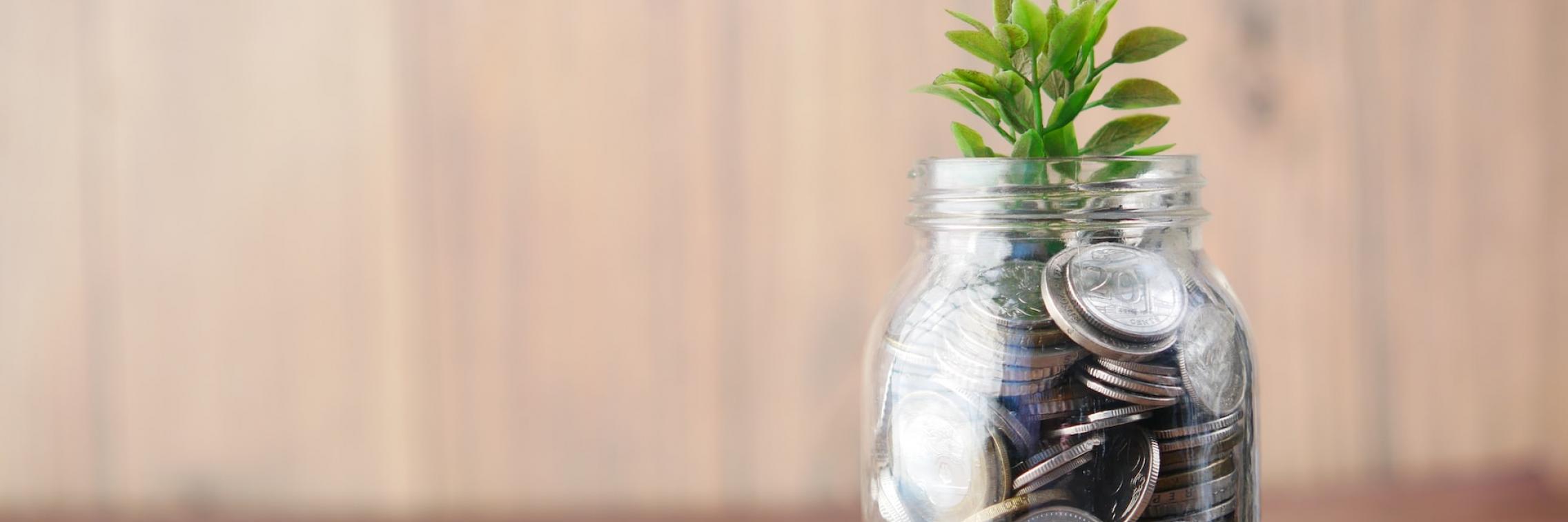 Coin jar with a plant growing from the jar