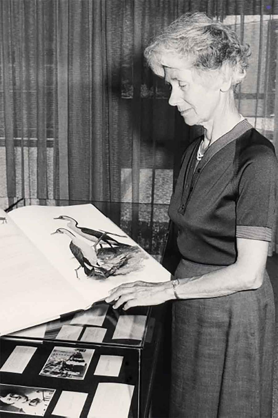 Lillemor Anderson