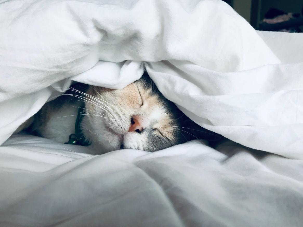 Fatigue