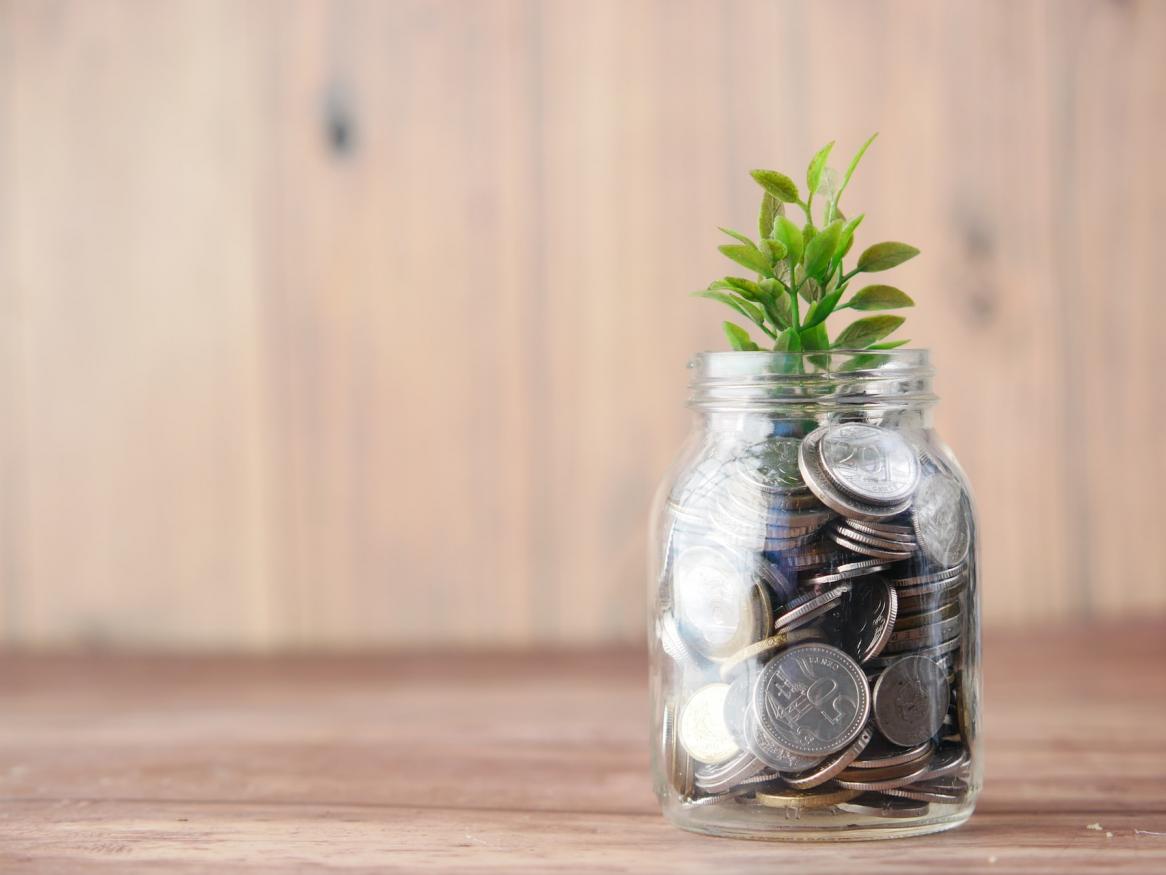 Coin jar with a plant growing from the jar