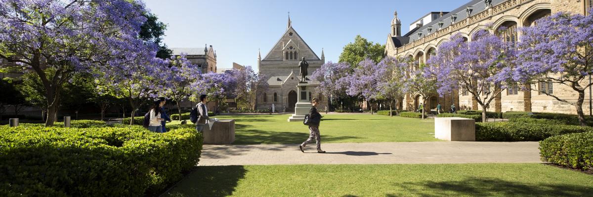 North Terrace Campus