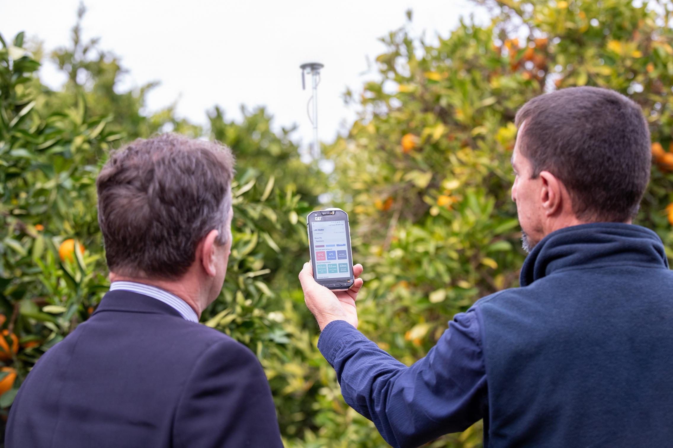 Image of two men looking at a mobile phone