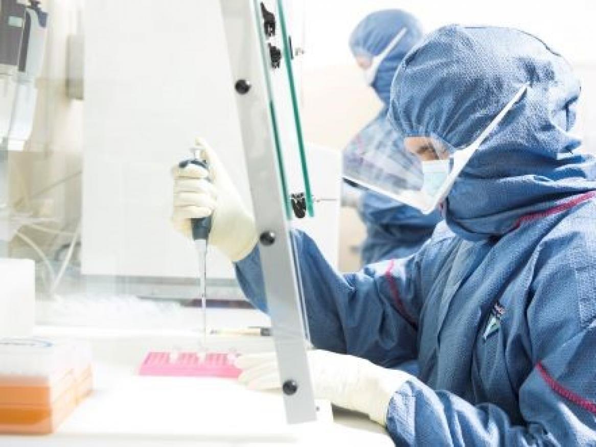 Staff working in medical research lab