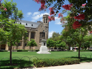 Goodman Crescent lawns - view from western side