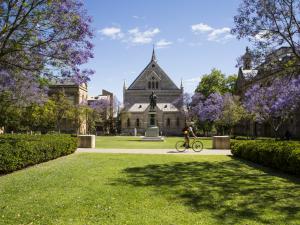 Goodman Crescent Lawns - view from North Terrace