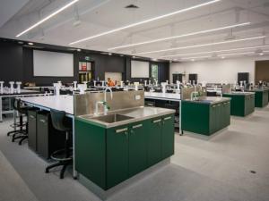 Photo of Johnson lab showcasing funky green cabinets with sinks.