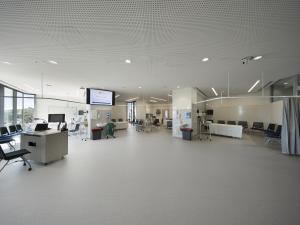 AHMS clinical suite