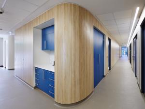 Photo of hallway with funky curved wall and bright blue cupboards
