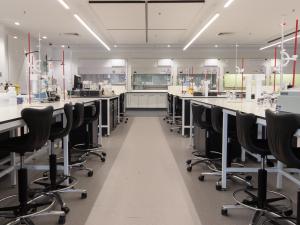 Benches in the Johnson lab