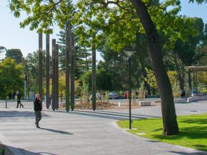 Trees around Barr Smith Lawns