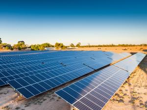 Roseworthy Solar Farm up close