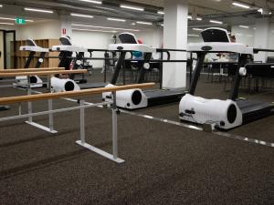 Rehabilitation gym equipment