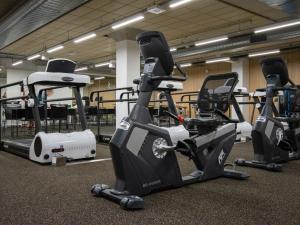 Rehabilitation gym equipment