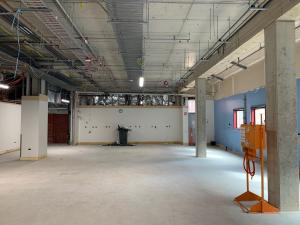 Integrative Bioimaging Facility interior refurbishment progress demolition 