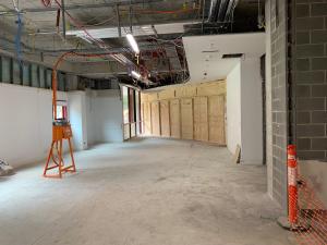Integrative Bioimaging Facility interior refurbishment progress demolition
