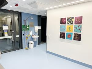Integrative Bioimaging Facility interior hallway with art on walls and spill clean up station