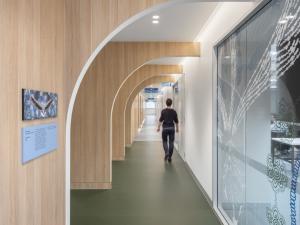 Corridor in the Medical School