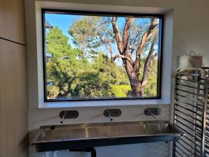 Native vegetation out a window in the Food Innovation Laboratory
