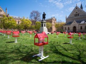 OzAsia art installation on the Goodman Lawns