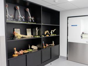 Ray Last Laboratory specimen display in corridor