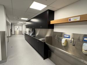 Ray Last Laboratory back of house wash up area