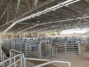 Empty cattle yard during the day