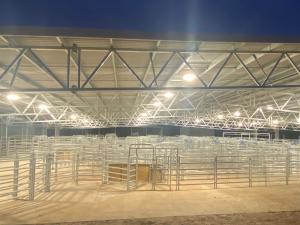 Empty cattle yard at night with lights on