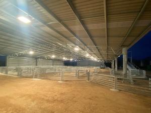 Empty sheep yard at night with lights on