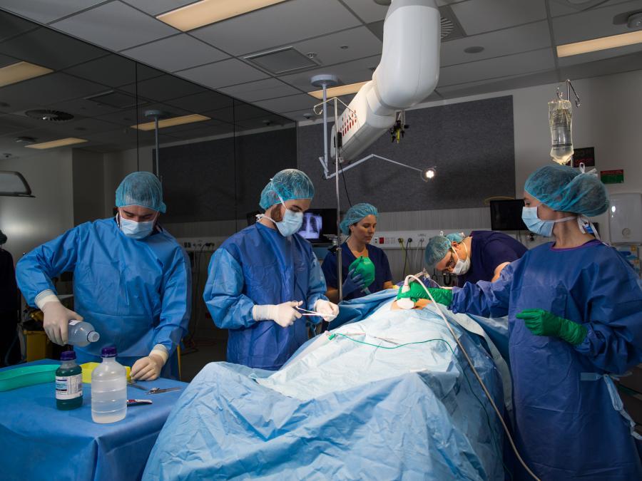 Photo of students in the simulation facility.