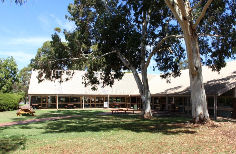Photo of the exterior of the Roseworthy Student Union Building, with tall trees and a grassed area in front