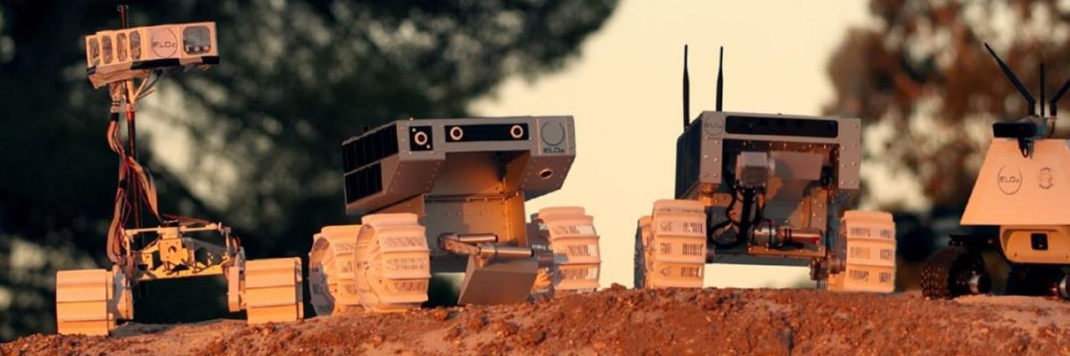 Mars rover robots on the dirt