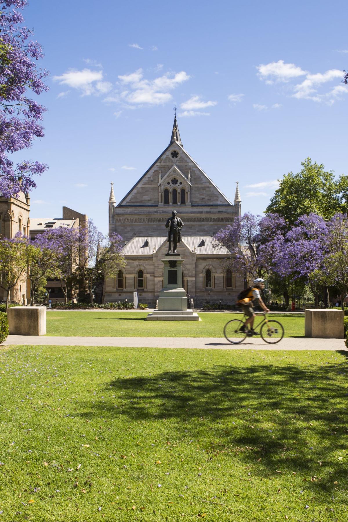 Goodman Lawns looking south towards Elder Hall
