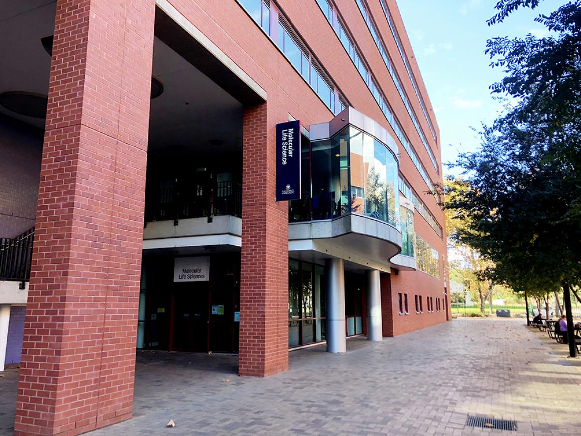 The University of Adelaide Molecular Life Sciences Building exterior