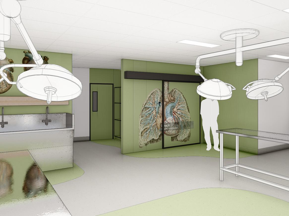 3D Visualisation of Ray Last Laboratory View B