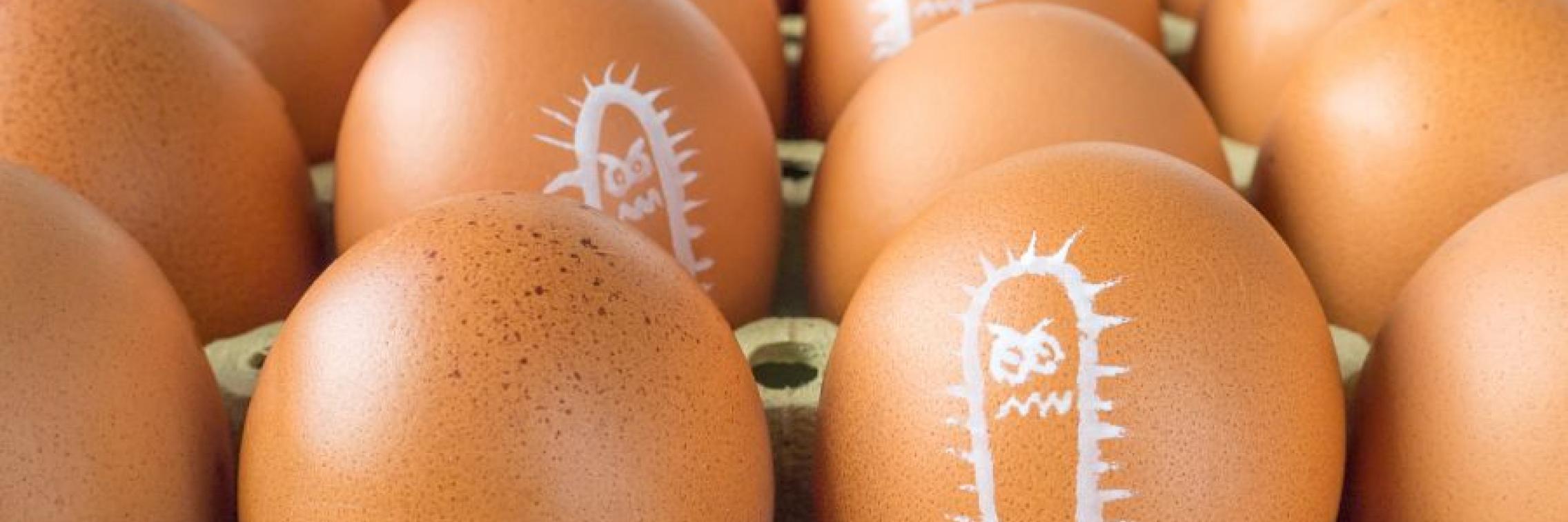 Eggs with drawn images representing salmonella bacterias